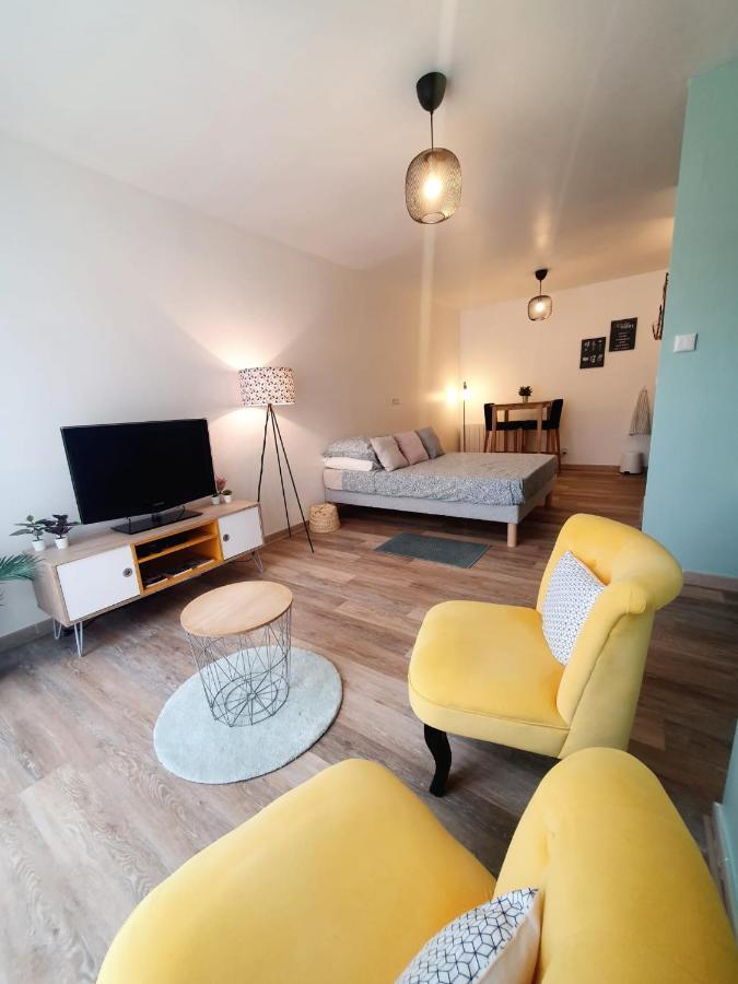 Apartmán Studio Fonctionnel Au Calme Avec Garage Individuel Et Balcon Lyon Exteriér fotografie