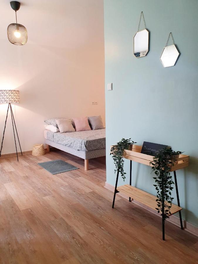 Apartmán Studio Fonctionnel Au Calme Avec Garage Individuel Et Balcon Lyon Exteriér fotografie